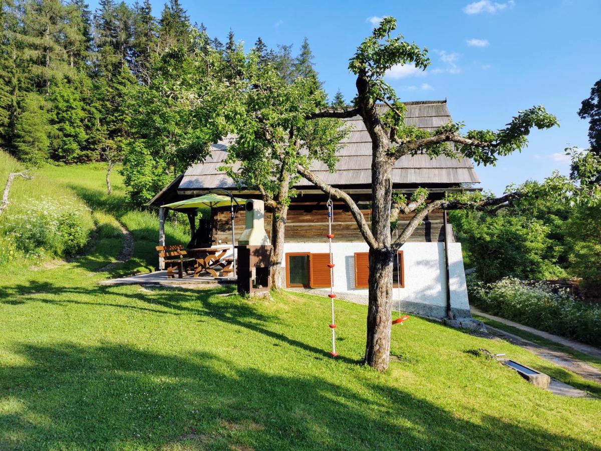 Villa Natur Pur Pikovo Crna na Koroskem Exterior foto